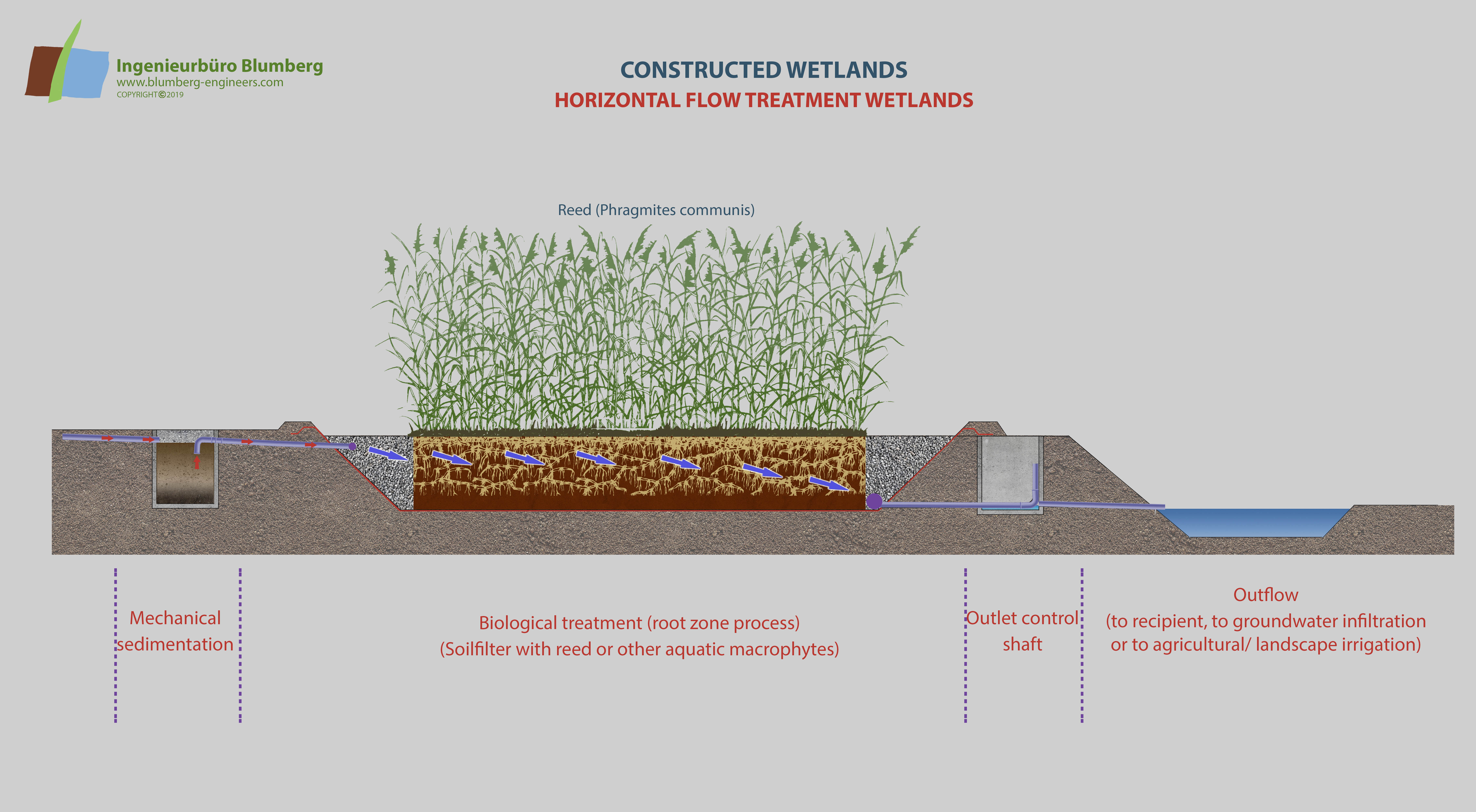 main types of constructed wetlands horizontal flow