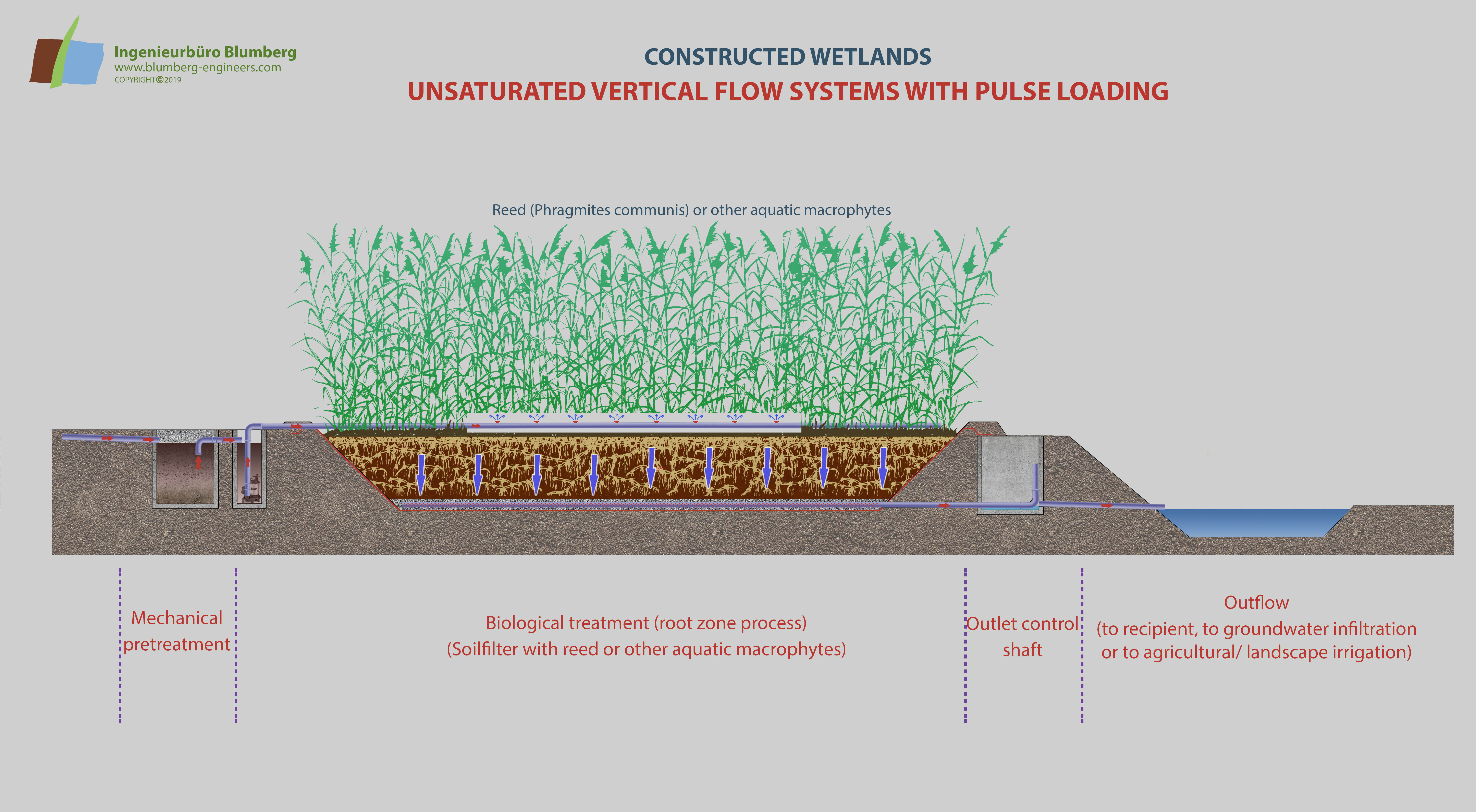 main types of constructed wetlands vertical flow